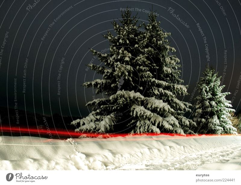 Rotlicht-Tanne Umwelt Natur Landschaft Winter Klima Eis Frost Schnee leuchten rot schwarz weiß Baum Lichtstreifen Farbfoto Außenaufnahme Textfreiraum links