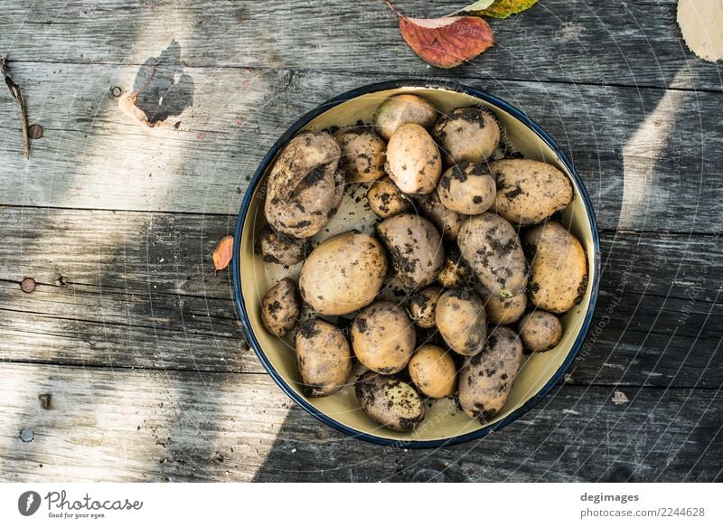 Kartoffeln mit Schmutz Gemüse Garten Gartenarbeit Natur Pflanze Erde frisch natürlich Lebensmittel heimwärts organisch Bauernhof roh Gesundheit Ackerbau