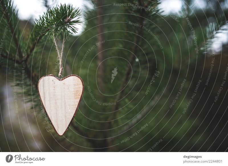 Hölzerne Herzform auf Tanne Dekoration & Verzierung Weihnachten & Advent Natur Baum Wald Holz alt Liebe natürlich braun grün weiß Hintergrund Rinde Konsistenz