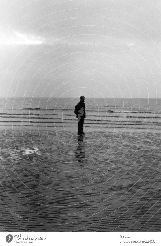 grau in grau Meer Strand Winter Mann Einsamkeit kalt Wellen Ebbe nass Küste dunkel St. Peter-Ording Mensch Nordsee Abend Sand Wasser