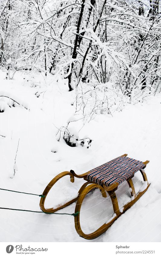 Einsamer Schlitten Ausflug Winter Schnee kalt Außenaufnahme Menschenleer Kontrast Starke Tiefenschärfe Schneedecke Schneelandschaft klassisch altmodisch