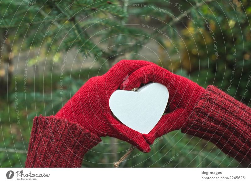 Hände in Handschuhe und weißes Herz schön Winter Valentinstag Frau Erwachsene Natur Liebe rot Romantik Valentinsgruß Symbole & Metaphern Fäustlinge Feiertag