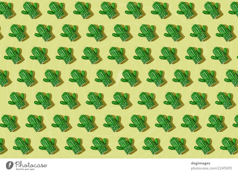 Kaktus-Muster Design schön Sommer Dekoration & Verzierung Pflanze Blume grün Hintergrund Sukkulenten wüst botanisch Stachel schließen stechend Aussicht Kakteen