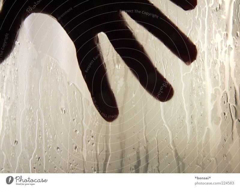 tschö 2010 maskulin Mann Erwachsene Hand Finger Mensch Scheibe Glasscheibe Tropfen berühren festhalten heiß nass Sauberkeit Reinlichkeit schwitzend Wasserdampf