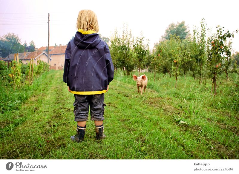 2011 - viel glück! Kind Junge Leben Mensch 3-8 Jahre Kindheit Tier Nutztier Tierjunges Blick Schwein begegnen Glück Bauernhof Regenjacke Apfelbaum Rasen Wiese