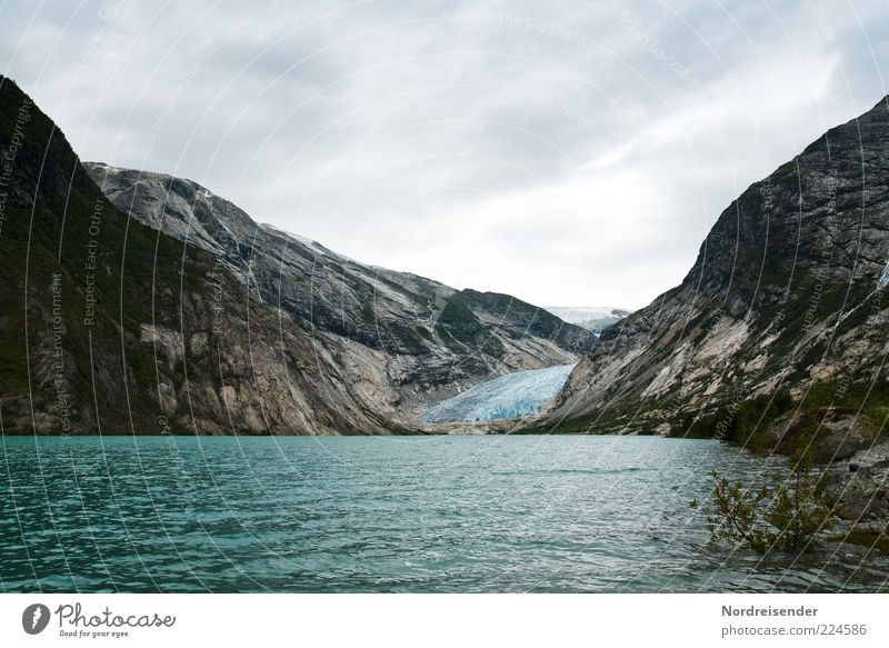 Guten Rutsch... Ferien & Urlaub & Reisen Ausflug Ferne Freiheit Gletscher Küste Bucht Fjord ästhetisch kalt natürlich Klima Umwelt Gletscherzunge