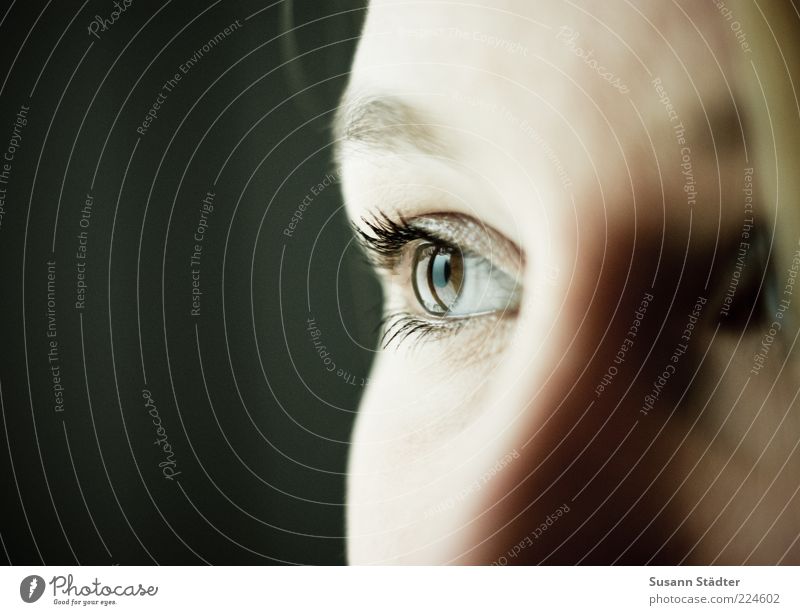 Blick nach 2011 Mensch feminin Junge Frau Jugendliche Gesicht Auge beobachten träumen Traurigkeit Wimpern Innenaufnahme Nahaufnahme Detailaufnahme Makroaufnahme