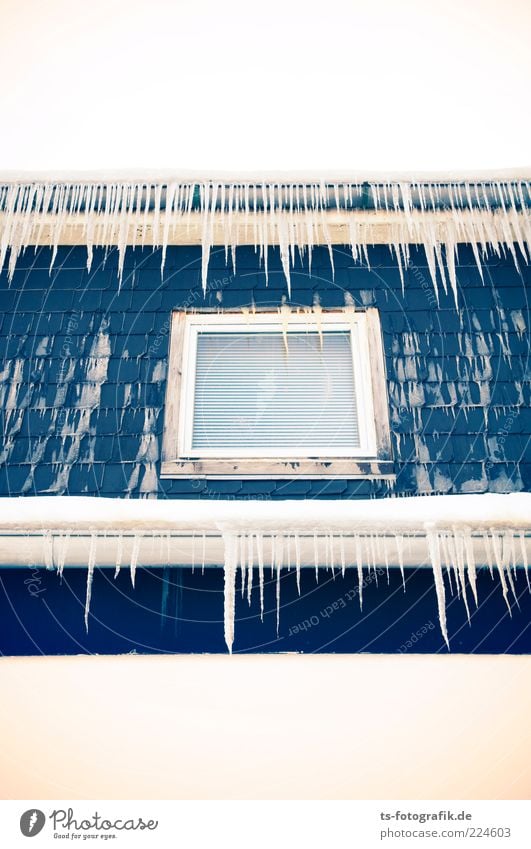 Fensterln für Fakire Umwelt Urelemente Winter Wetter Eis Frost Haus Fassade Dachrinne kalt Spitze stachelig blau weiß Eiszapfen hängend polarkälte Farbfoto
