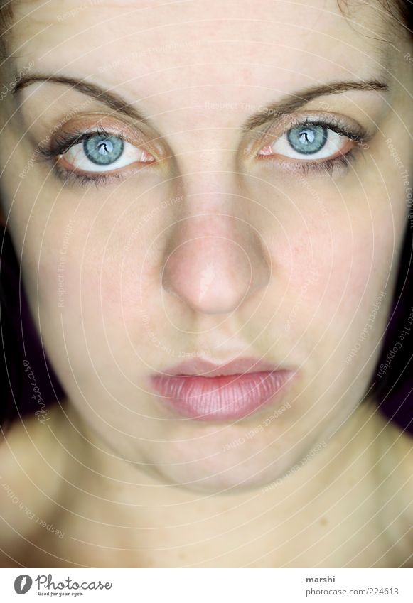 Durchblick Mensch feminin Frau Erwachsene Gesicht 1 beobachten Gefühle Stimmung Coolness Auge Hochmut Charakter Blick Mund natürlich intensiv hypnotisch