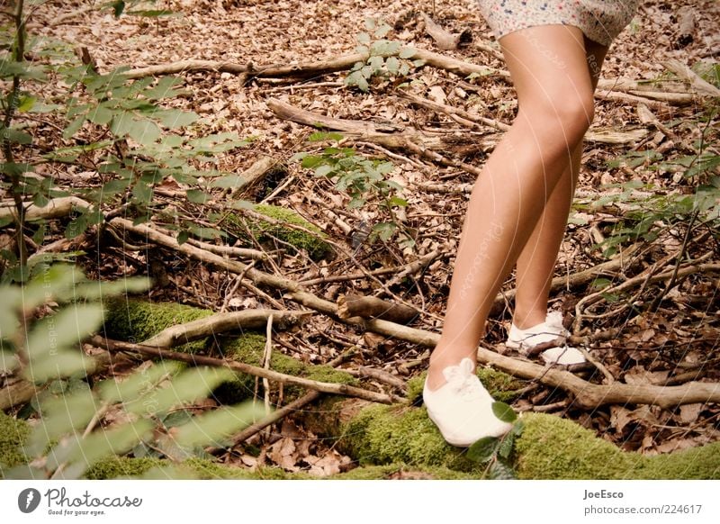 unscharfes bein. Stil Freizeit & Hobby Ausflug feminin Junge Frau Jugendliche Erwachsene Leben Beine 1 Mensch Natur Pflanze Sträucher Moos Wald Rock Schuhe