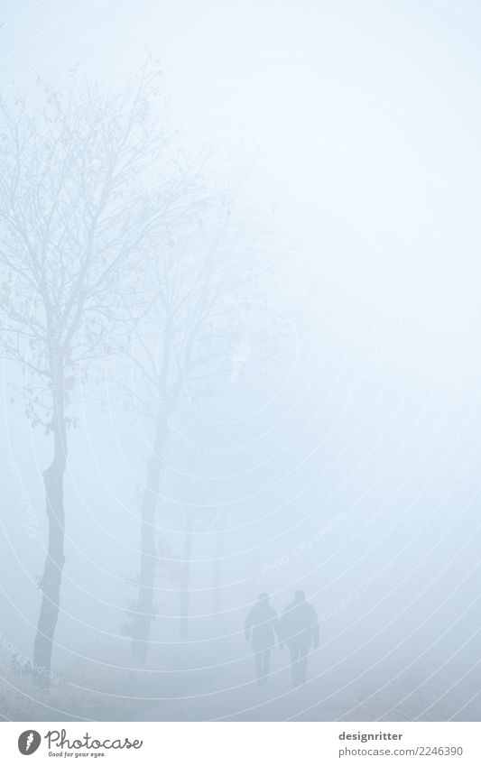 Paar geht im Nebel spazieren Photocase herbst nebel Wetter Ehe Frau Mann Beziehung zusammen gemeinsam Spaziergang spazierengehen zwei Menschen Bäume Allee Sicht