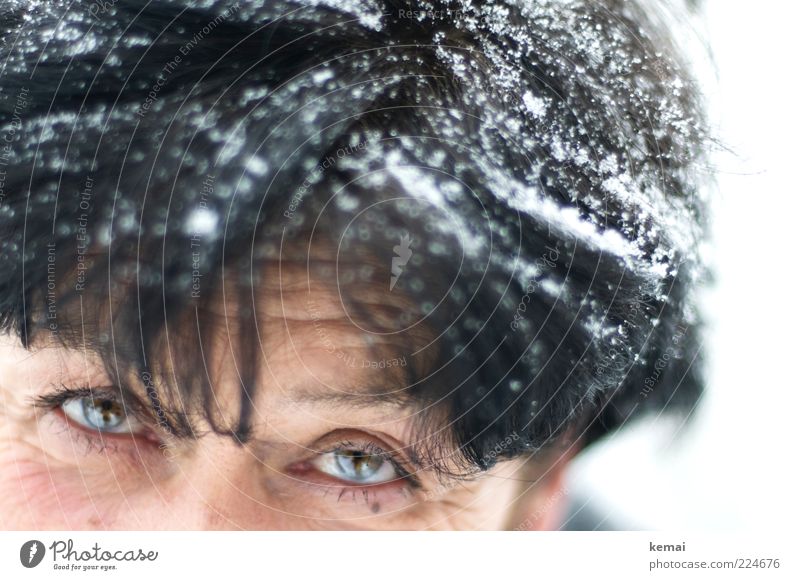 Schwarz wie Ebenholz Mensch Frau Erwachsene Senior Leben Kopf Haare & Frisuren Gesicht Auge 1 45-60 Jahre Winter Eis Frost Schnee Schneefall schwarzhaarig