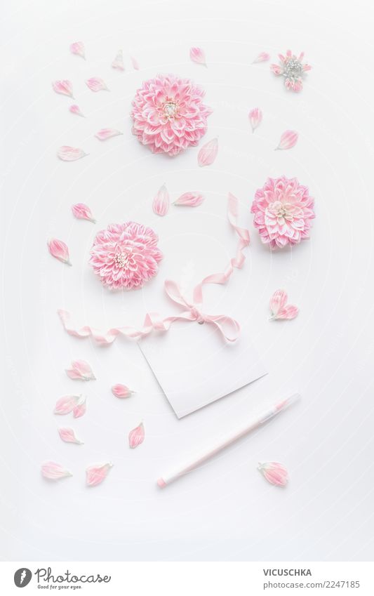 Pastel rosa Stilleben mit Blumen und Grusskarte elegant Design Schreibtisch Party Veranstaltung Feste & Feiern Valentinstag Muttertag Hochzeit Geburtstag Rose