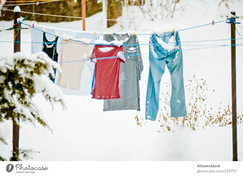 und ganz plötzlich war Schnee... Bekleidung T-Shirt Jeanshose Unterwäsche Wäsche waschen Winter Wäscheleine Farbfoto Außenaufnahme Menschenleer Tag