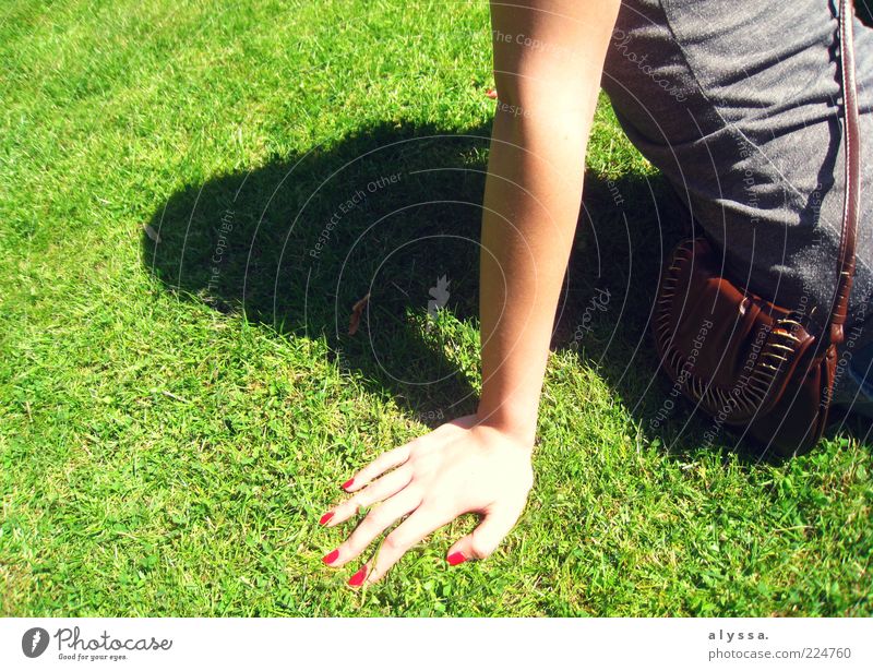 sonnige Zeiten. feminin Junge Frau Jugendliche Arme Hand 1 Mensch Gras grün Farbfoto Außenaufnahme Tag Schatten Sonnenbad Frauenhand Nagellack lackiert