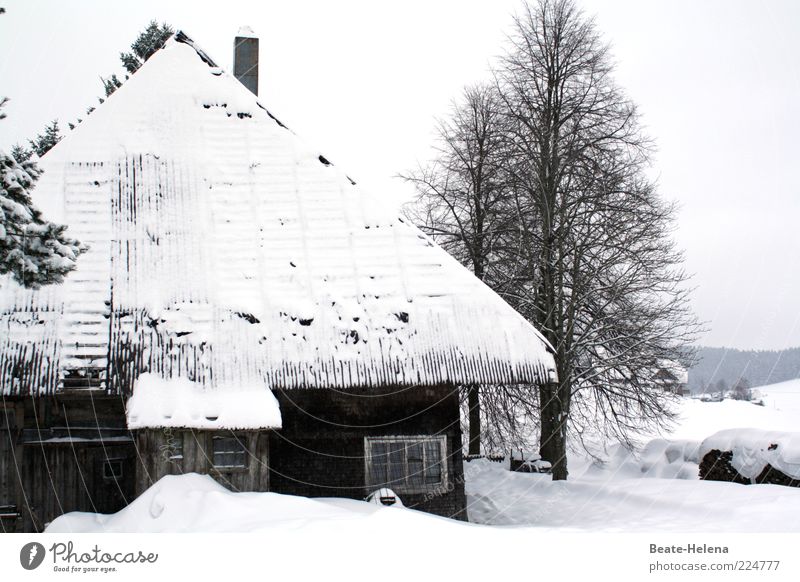 Strenger Winter im Schwarzwald Winterurlaub Haus schwarz weiß kalt Schnee Schwarzwaldhaus Schönwald Dachüberhang Tradition Vergangenheit abgelegen Einsamkeit
