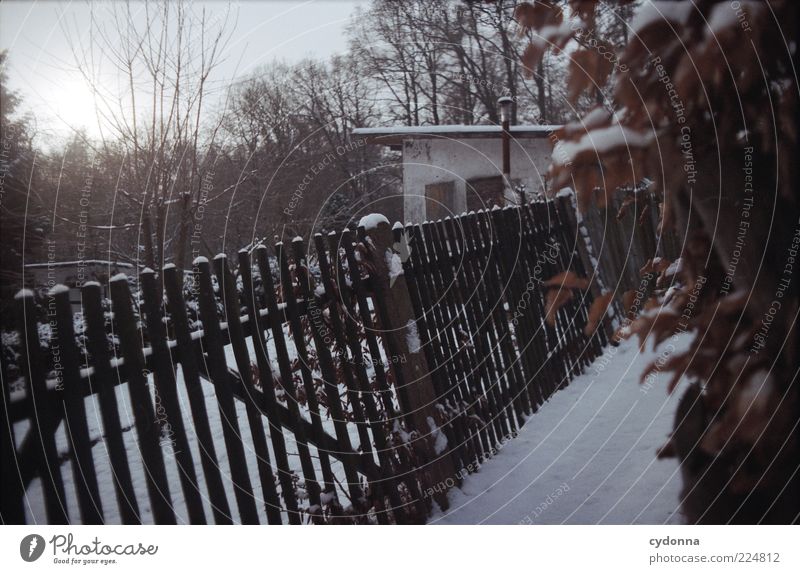 Winterschlaf Natur Eis Frost Schnee Garten Hütte Einsamkeit einzigartig geheimnisvoll ruhig stagnierend Wege & Pfade Zeit Gartenzaun Kleingartenkolonie