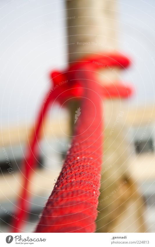 Weihnachtsschlitten Diebstahlsicherung Winter Eis Frost Seil hängen rot Sicherheit festhalten knallig Baumstamm Natur festbinden gebunden ruhig selbstgemacht