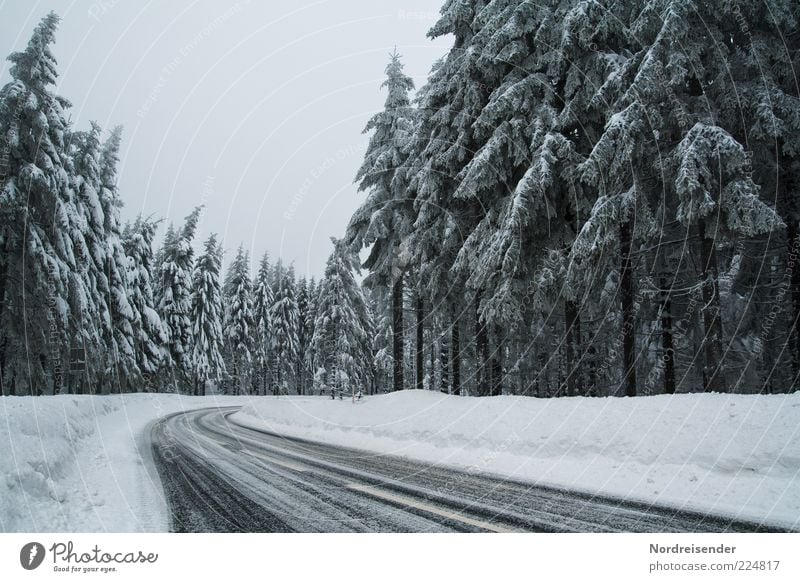 Stumm ertragen Tourismus Ausflug Natur Landschaft Winter Klima Eis Frost Wald Verkehr Verkehrswege Straße Sicherheit Wege & Pfade Thüringen Thüringer Wald Kurve