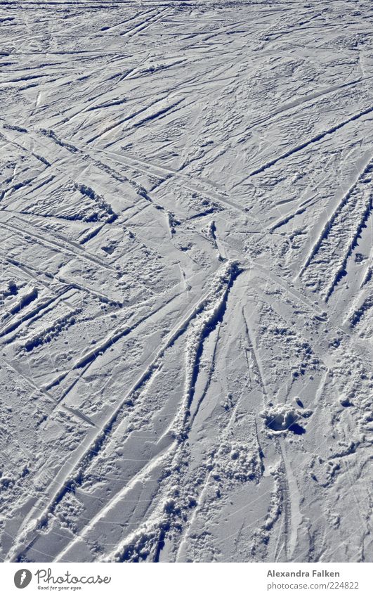 Kreuz und quer. Wintersport Skifahren Skipiste Schnee kalt Spuren Saison Farbfoto Außenaufnahme Menschenleer Textfreiraum oben Tag Schatten Kontrast