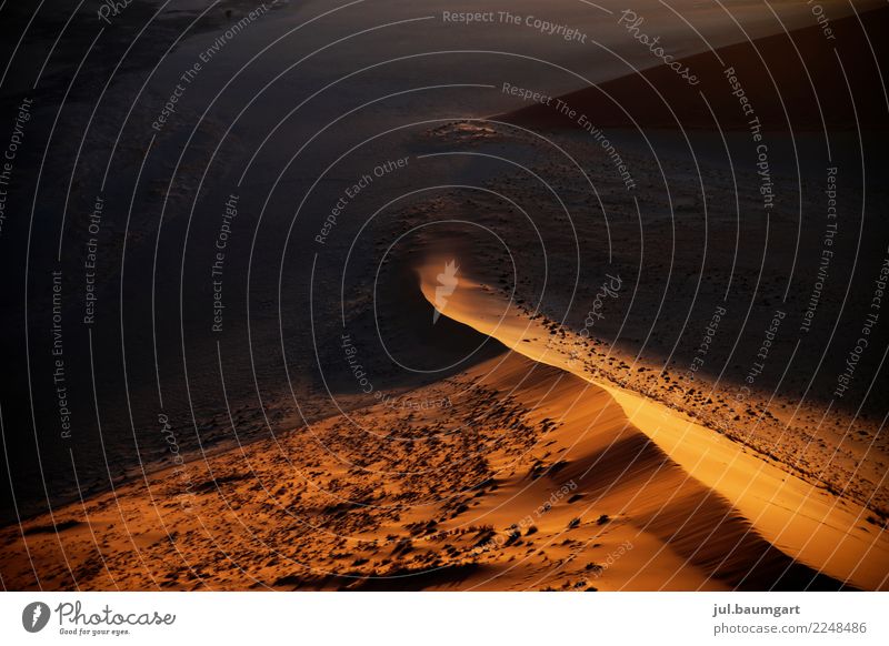 Namibia Sossusvlei Dünen Natur Landschaft Erde Sand Wüste gold Farbfoto Außenaufnahme Menschenleer Morgen Morgendämmerung Licht Schatten Lichterscheinung
