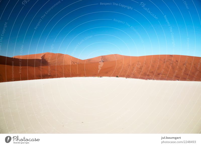 Namibia Sossusvlei Deadvlei Natur Landschaft Sand Himmel Schönes Wetter Wüste Sehenswürdigkeit Ferien & Urlaub & Reisen Wärme Farbfoto Gedeckte Farben