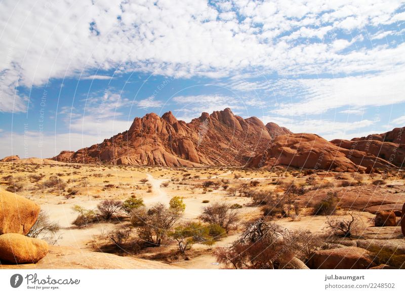 Namibia Spitzkoppe Natur Landschaft Sommer Felsen Berge u. Gebirge Wüste Ferien & Urlaub & Reisen Farbfoto Außenaufnahme Menschenleer Tag Panorama (Aussicht)