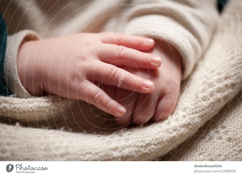 Hände Kind Baby Kleinkind Mädchen Junge Hand 0-12 Monate schlafen schön niedlich Glück Zufriedenheit Lebensfreude Liebe Zukunft Geborgenheit Kindheit Eltern
