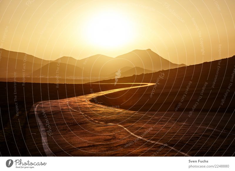 Straße ins Licht Sinnesorgane Meditation Umwelt Natur Landschaft Urelemente Erde Sonnenaufgang Sonnenuntergang Sonnenlicht Vulkan Wege & Pfade Sehnsucht