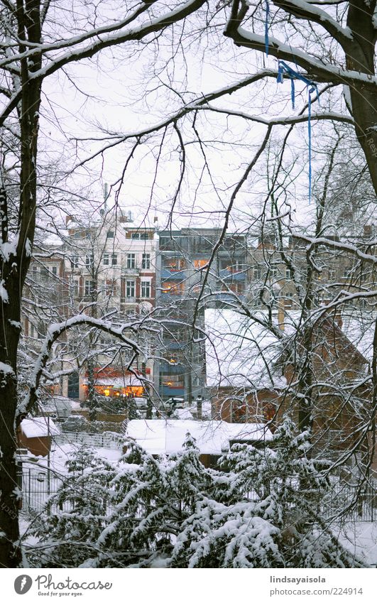 Winterlichter Ferien & Urlaub & Reisen Schnee Winterurlaub Häusliches Leben Wohnung Umwelt Natur Klima Wetter Unwetter Eis Frost Baum Park Fenster frieren