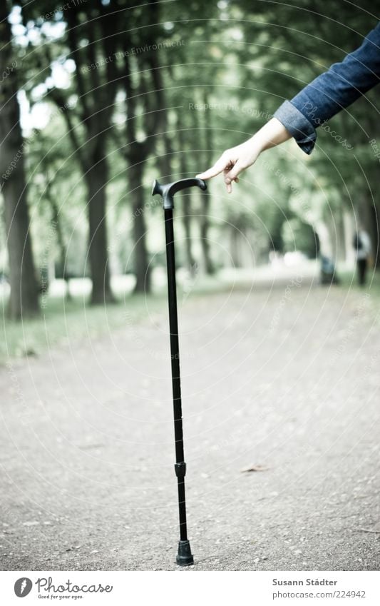 barrierefrei . . . bald Leben Arme laufen wandern gehen Spazierstock Gehhilfe Barriere Behindertengerecht Hilfsbereitschaft festhalten begleiten Jeansjacke