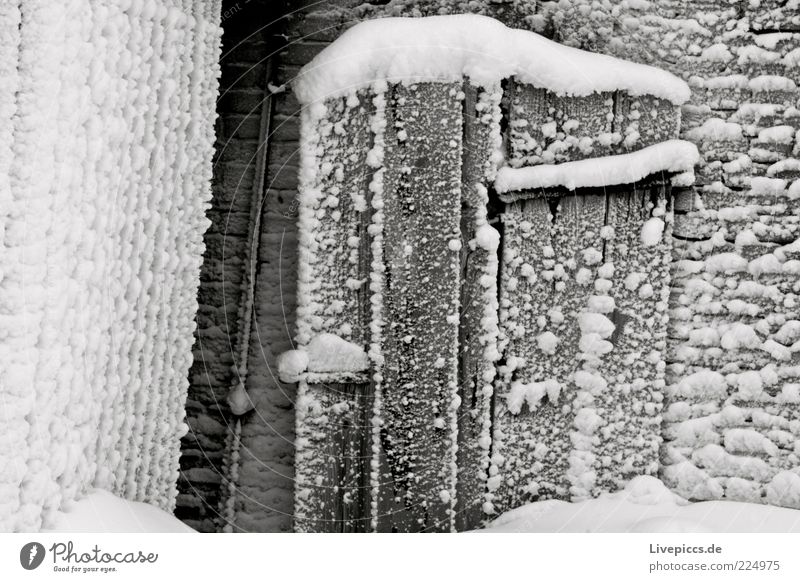 Wintertür Natur Schnee Hütte Tür Holz frisch grau weiß Außenaufnahme Menschenleer Tag Totale Holzfassade Holztür Eis Textfreiraum links