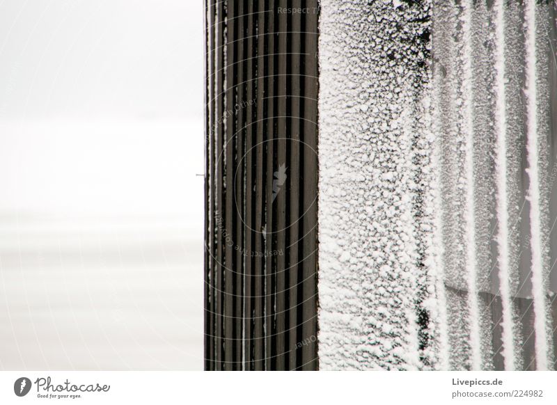 Schneestaub Umwelt Winter Eis Frost chaotisch kalt Schwarzweißfoto Außenaufnahme Nahaufnahme Tag Wellblech Textfreiraum links Schneekristall kleben Menschenleer
