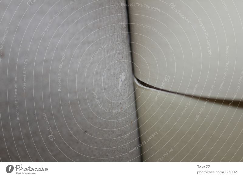 Rollenweise Papier Verpackung Toilettenpapier Streifen trocken grau Detailaufnahme Menschenleer Schwache Tiefenschärfe Bildausschnitt Anschnitt