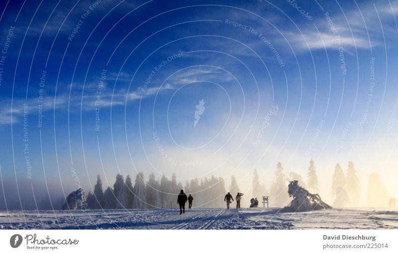 Winterwanderland Mensch 5 Natur Landschaft Luft Himmel Wolken Schönes Wetter Eis Frost Schnee Wildpflanze Wald blau weiß wandern Spaziergang Waldrand