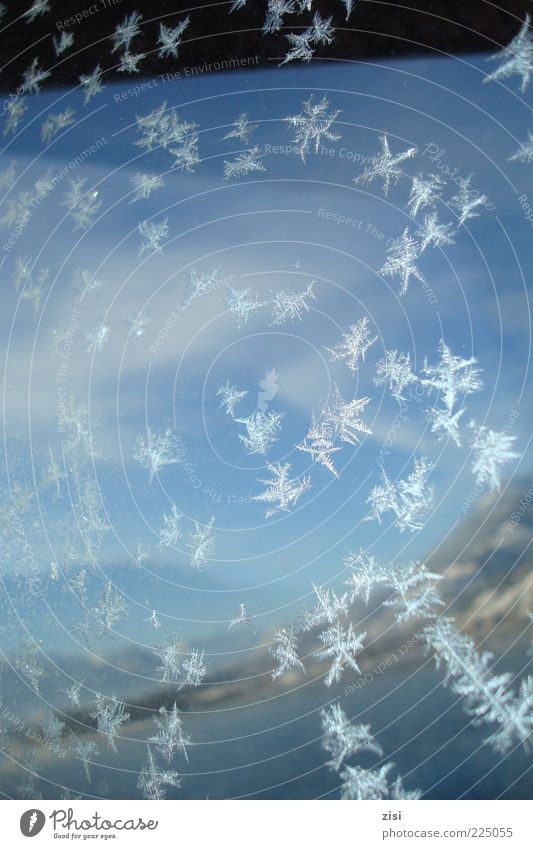 Eisblumen Natur Landschaft Wasser Himmel Winter Klima Frost Schnee See Glas ästhetisch glänzend kalt blau weiß rein Farbfoto Außenaufnahme Nahaufnahme