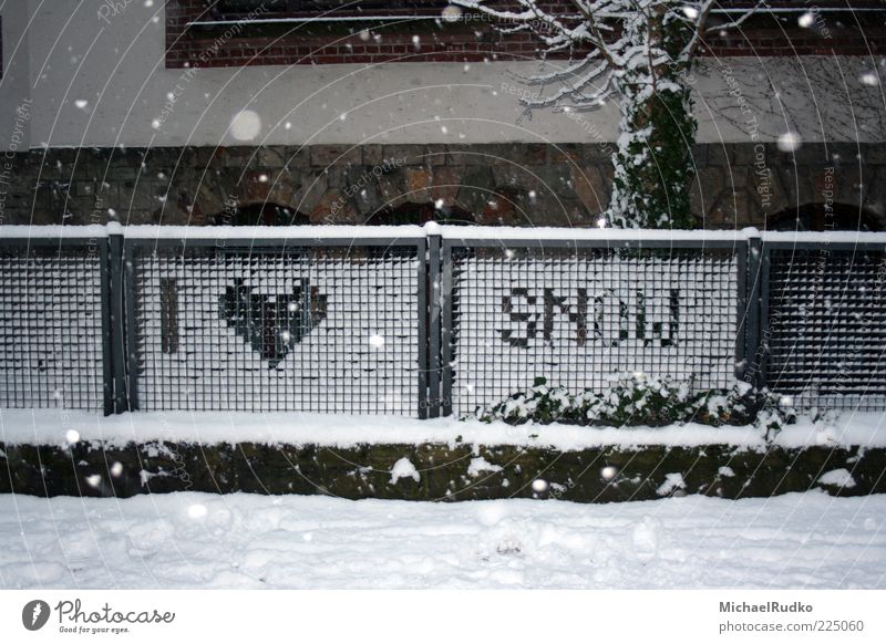Danke, Frau Holle! Danke Väterchen Frost! Lifestyle Winter Schnee Jugendkultur Bildpunkt Klima Wetter Schneefall Mauer Wand Zaun Zeichen Schriftzeichen Herz