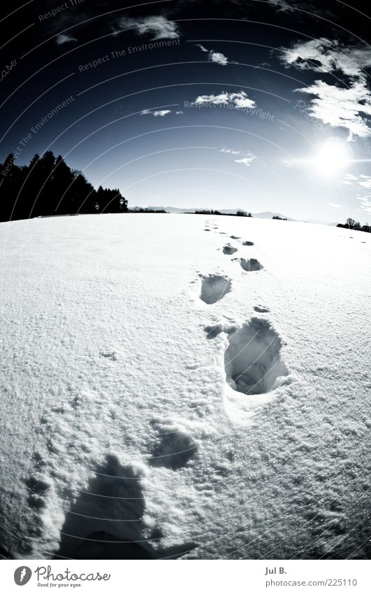 Schneeweg Natur Schönes Wetter blau weiß Zukunft Sonne Leuchtkraft Fußspur Schneespur Schneedecke Wintertag Wintersonne Menschenleer Fährte Weitwinkel