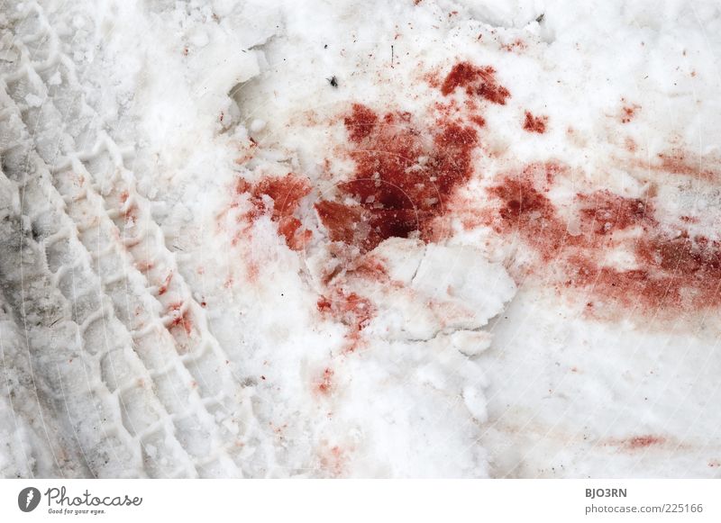 Spuren im Schnee... Verkehr Verkehrsunfall authentisch Ekel kalt trist grau rot weiß Tod Desaster Winter Blut Farbfoto Außenaufnahme Menschenleer