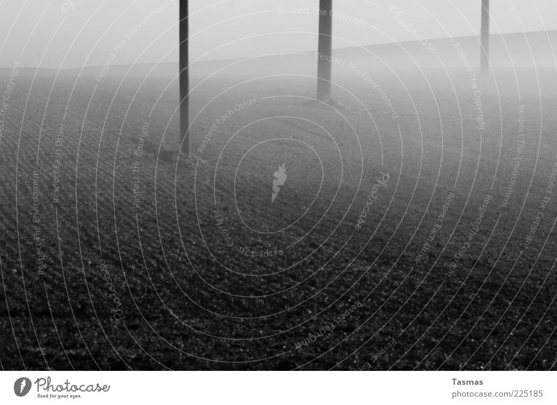Nebel des grauens Erde Winter Ackerbau Ackerboden Feld dunkel Telefonmast Strommast Schwarzweißfoto Außenaufnahme Menschenleer Bodennebel Morgennebel