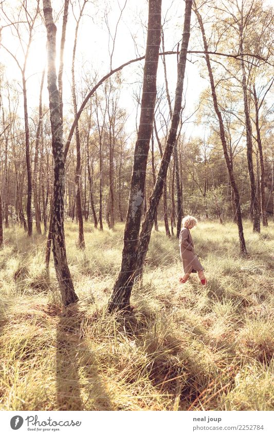 Rotstiefelchen feminin Frau Erwachsene 1 Mensch 18-30 Jahre Jugendliche Farn Birkenwald Wald Mantel Stiefel blond Locken Erholung träumen elegant einzigartig