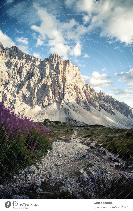Monte Civetta Umwelt Natur Landschaft wandern Naturerlebnis Wanderausflug Felswand Berge u. Gebirge Bergkette Kletterwand Steilwand Felsen Alpen Dolomiten