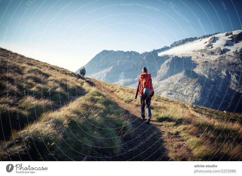 Der einsame Wanderer Frau Erwachsene wandern Marmolata Dolomiten Wege & Pfade Einsamkeit Lebenslauf Rucksack Rucksacktourismus Rucksackurlaub Fußweg gehen