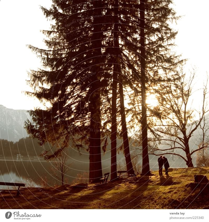 Abendstimmung Paar Partner 2 Mensch Natur Landschaft Sonnenaufgang Sonnenuntergang Sommer Herbst Schönes Wetter Baum Wald Hügel Felsen Alpen Berge u. Gebirge