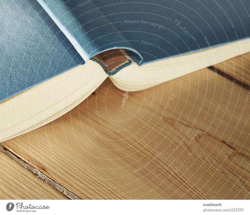 leseblockade Freizeit & Hobby Bildung Medien Printmedien Buch Dielenboden Holz lernen Parkett liegen aufgeklappt entgegengesetzt 1 Bucheinband abgelegen Tag