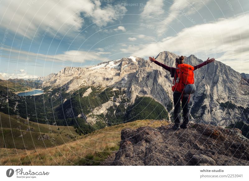 Freiheit ohne Ende feminin Frau Erwachsene wandern Berge u. Gebirge Gletscher Dolomiten Südtirol genießen Außenaufnahme Fitness Spaziergang Ausblick