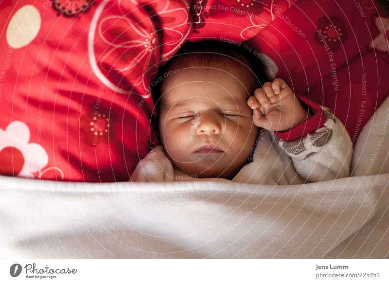 "Friendship!" Mensch Baby 1 0-12 Monate schlafen niedlich schön rot weiß Vorsicht Gelassenheit ruhig Schutz Hand Gruß Kissen Decke Geborgenheit friedlich