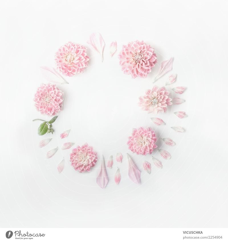 Runder Rahmen von Pastellrosa Blumen Stil Design Feste & Feiern Valentinstag Muttertag Hochzeit Geburtstag Blatt Blüte Dekoration & Verzierung Blumenstrauß