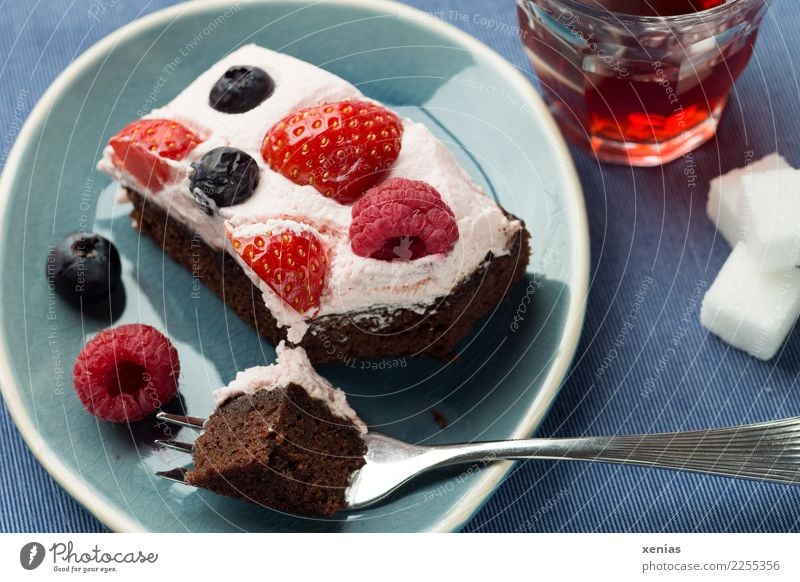 Das Wesentliche am Nachmittag - Kuchen aus Schokolade mit Sahne und Beeren auf blauem Teller, dazu roter Tee mit Würfelzucker Himbeeren Frucht Erdbeeren