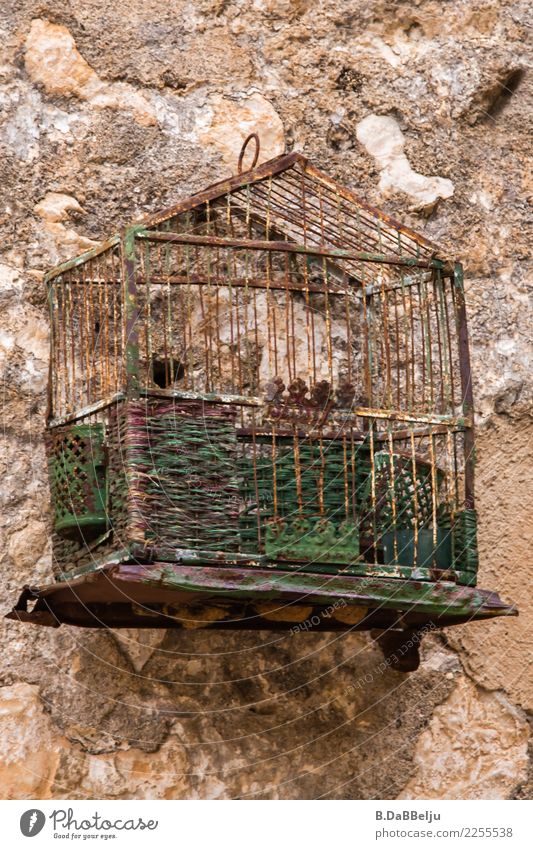 ausgeflogen Vogel alt Italien Sizilien Vogelkäfig Käfig leer Antiquität Farbfoto Außenaufnahme Menschenleer